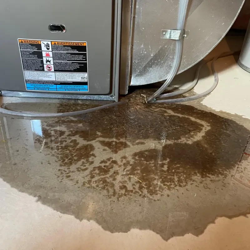 Appliance Leak Cleanup in Livermore, ME